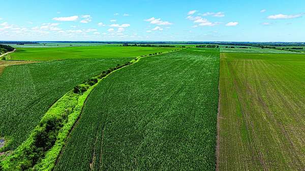 91 Acres of Agricultural Land for Auction in Belvue, Kansas