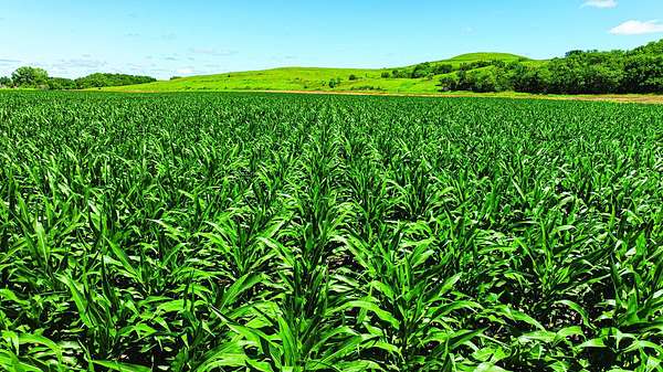 27 Acres of Agricultural Land for Auction in Belvue, Kansas