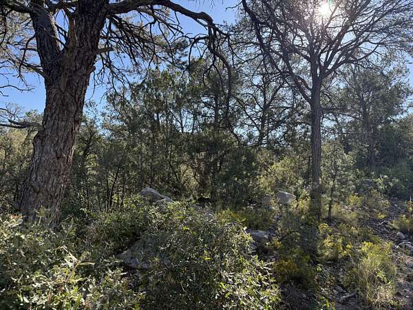 0.53 Acres of Land for Sale in Sandia Park, New Mexico