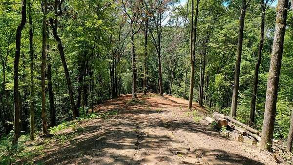Residential Land for Sale in Andrews, North Carolina