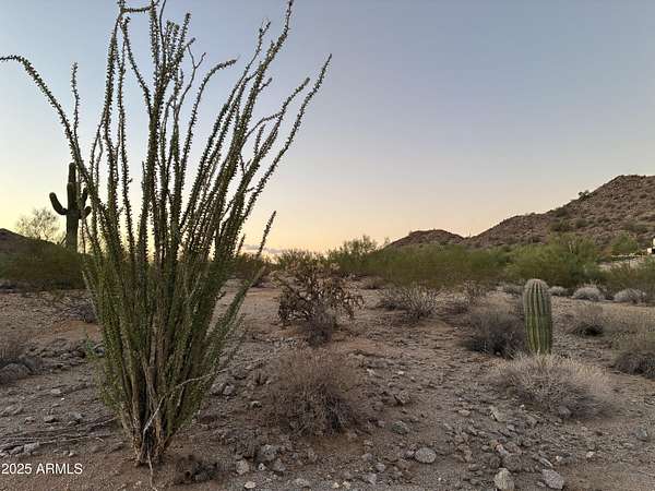 1.25 Acres of Land for Sale in San Tan Valley, Arizona