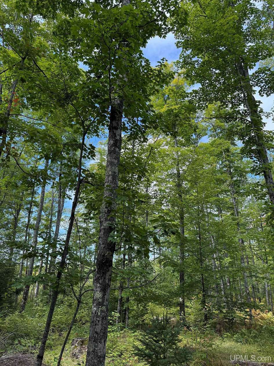 30 Acres of Recreational & Residential Land for Sale in Nisula, Michigan