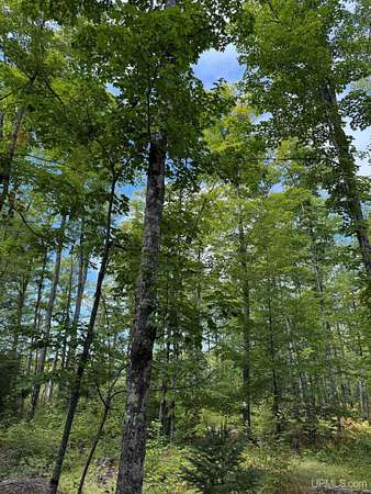 30 Acres of Recreational & Residential Land for Sale in Nisula, Michigan