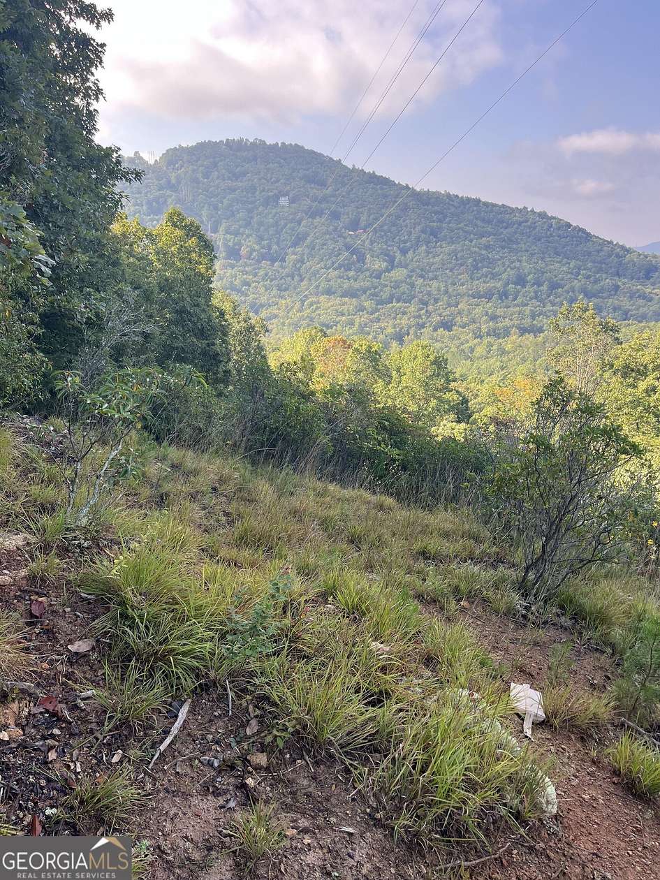 6.77 Acres of Residential Land for Sale in Clayton, Georgia