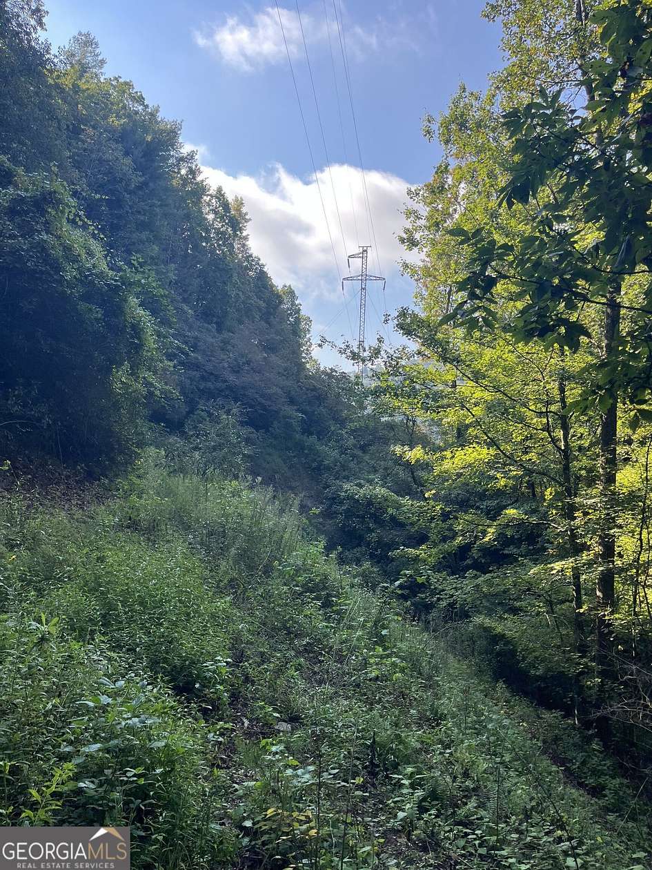 6.77 Acres of Residential Land for Sale in Clayton, Georgia