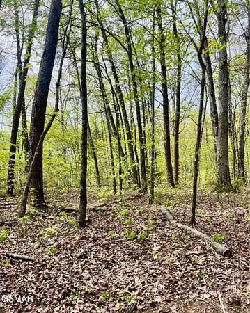 0.92 Acres of Residential Land for Sale in Sevierville, Tennessee