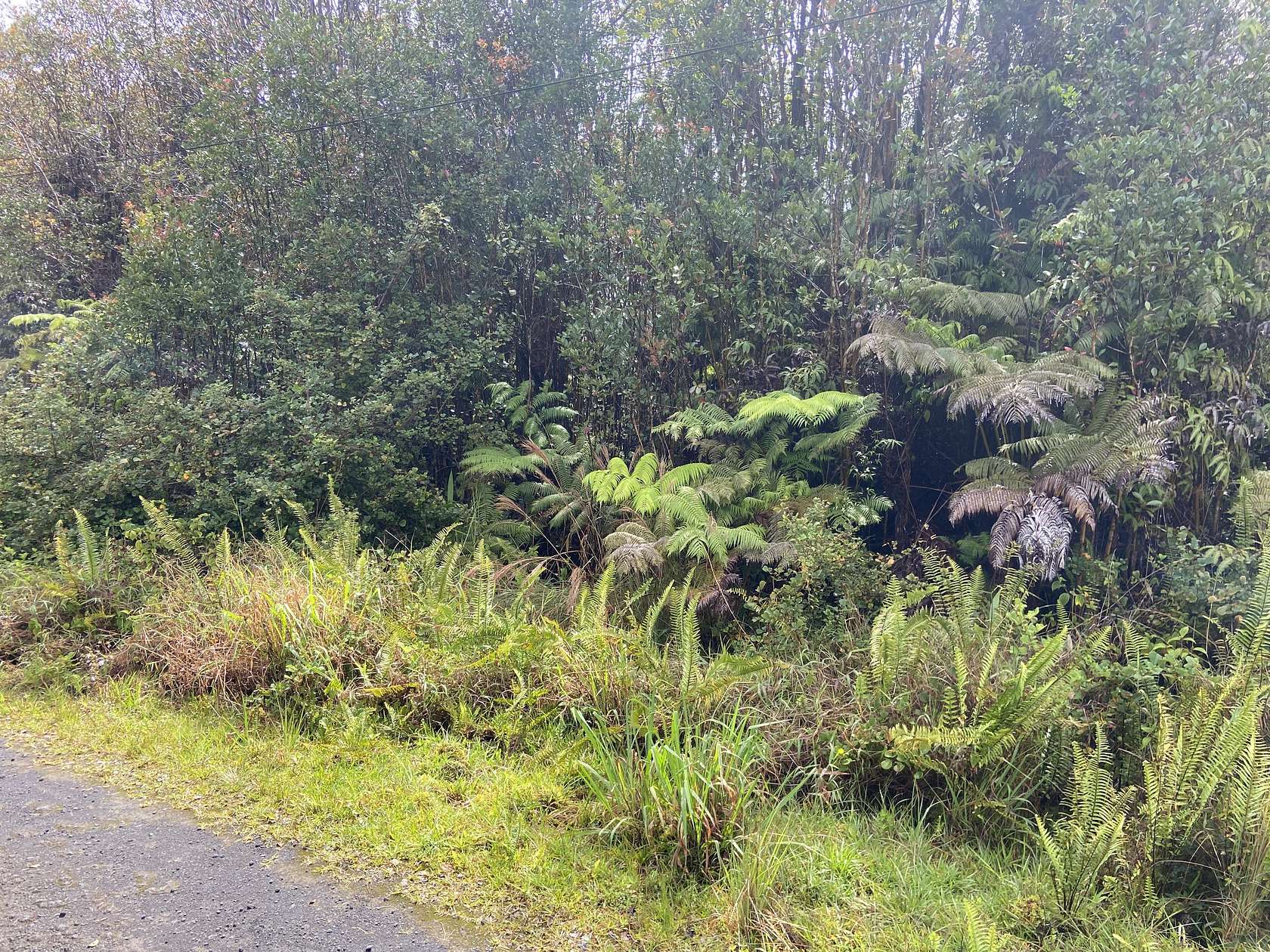 0.28 Acres of Land for Sale in Volcano, Hawaii