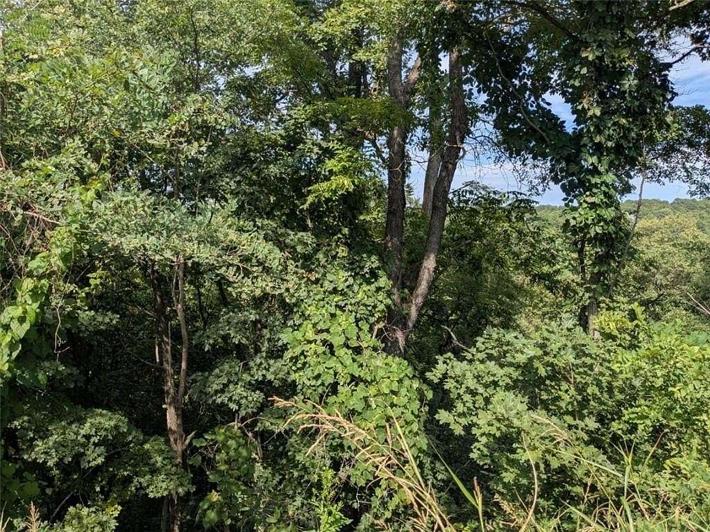 0.66 Acres of Residential Land for Sale in Holiday Island, Arkansas