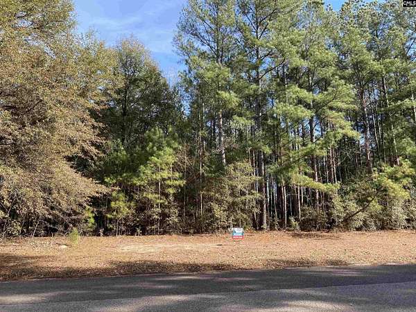 1 Acre of Land for Sale in Wagener, South Carolina