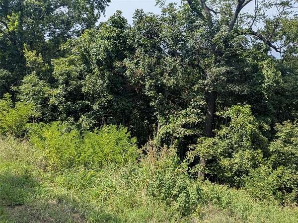 0.3 Acres of Residential Land for Sale in Holiday Island, Arkansas