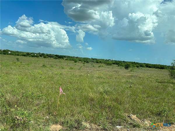 1 Acre of Residential Land for Sale in Floresville, Texas