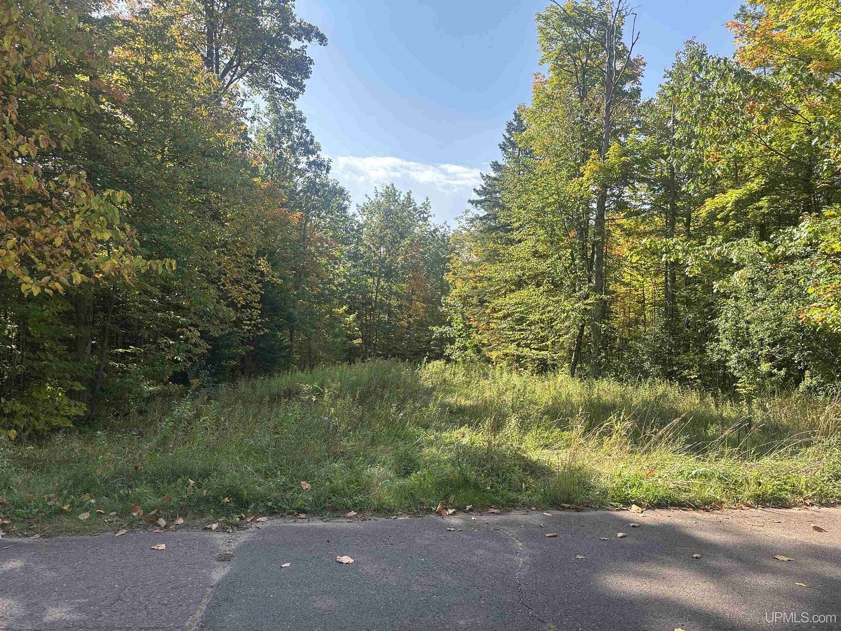 0.54 Acres of Residential Land for Sale in Wakefield, Michigan