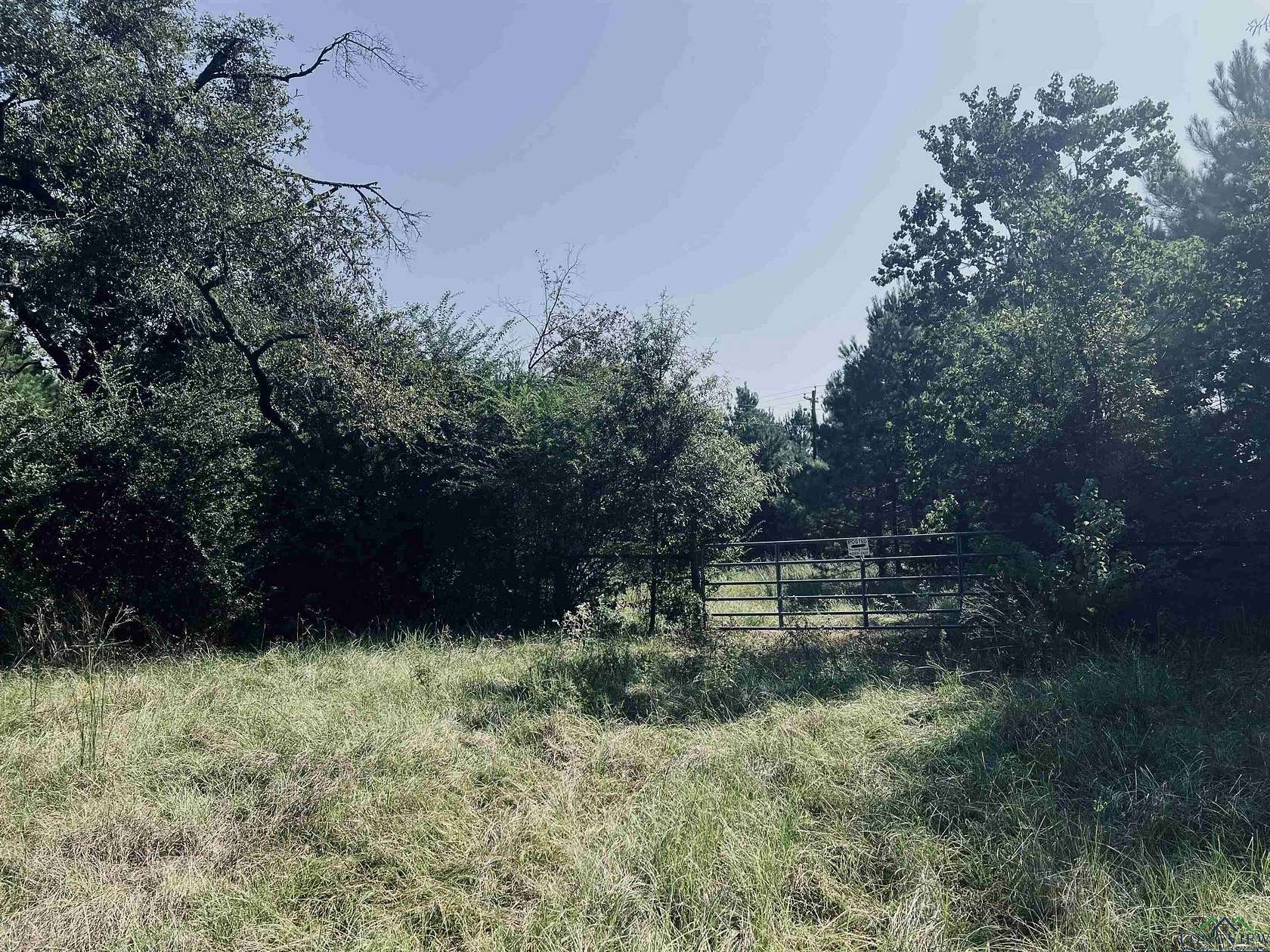 60 Acres of Recreational Land for Sale in Joaquin, Texas