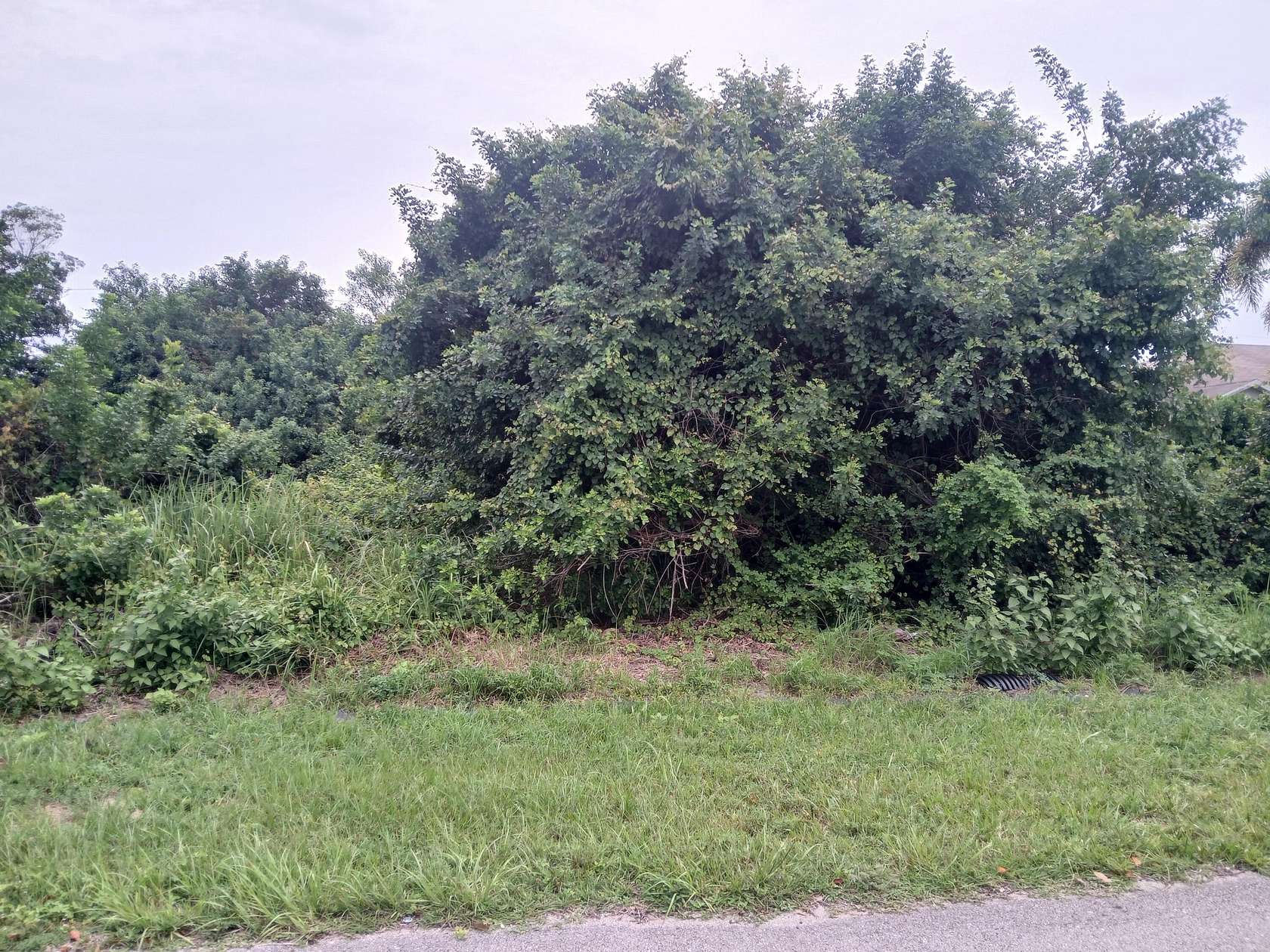 0.23 Acres of Residential Land for Sale in Port St. Lucie, Florida