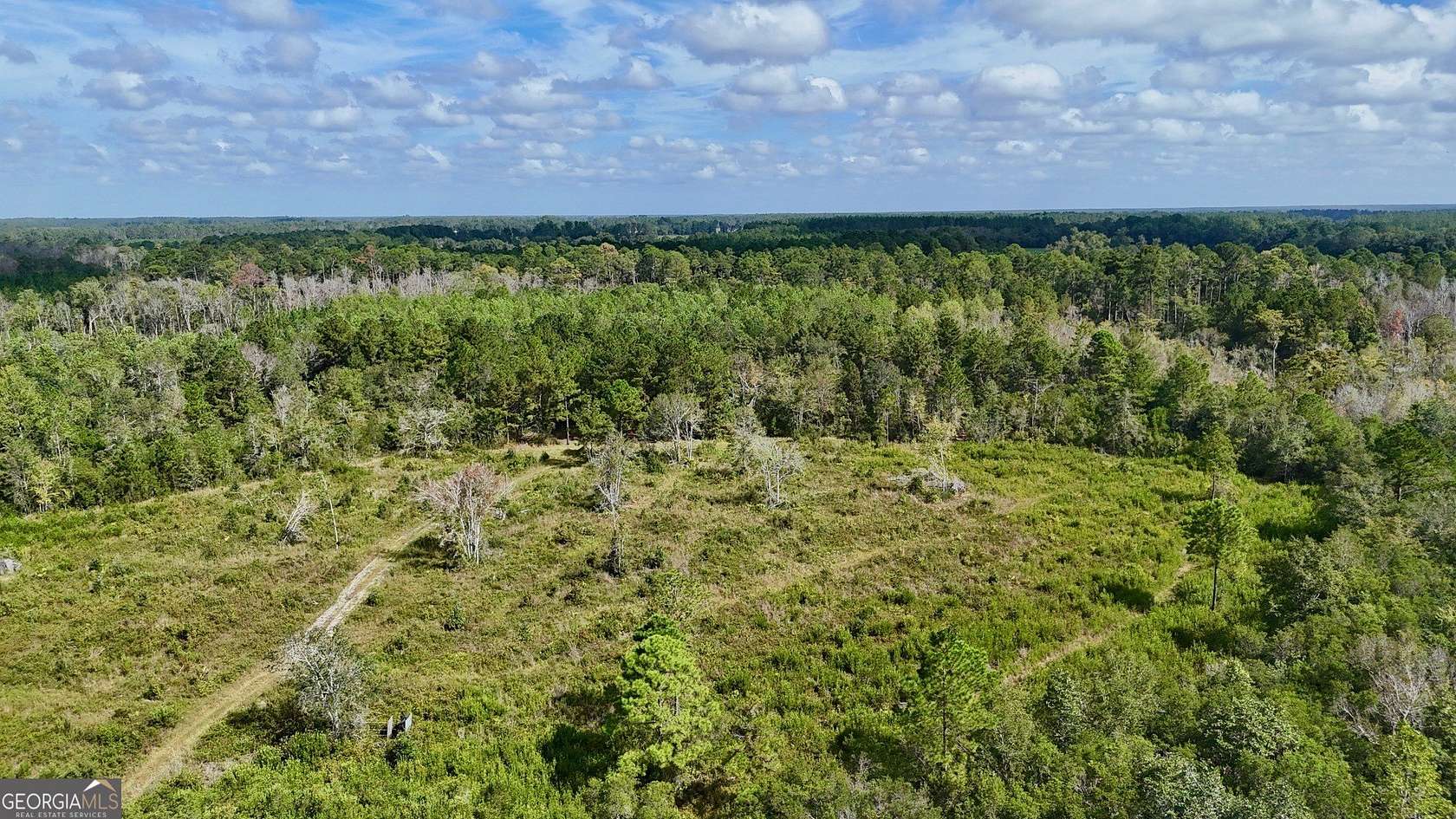 17 Acres of Recreational Land for Sale in Mershon, Georgia