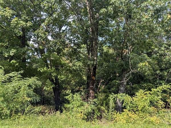 0.33 Acres of Residential Land for Sale in Holiday Island, Arkansas