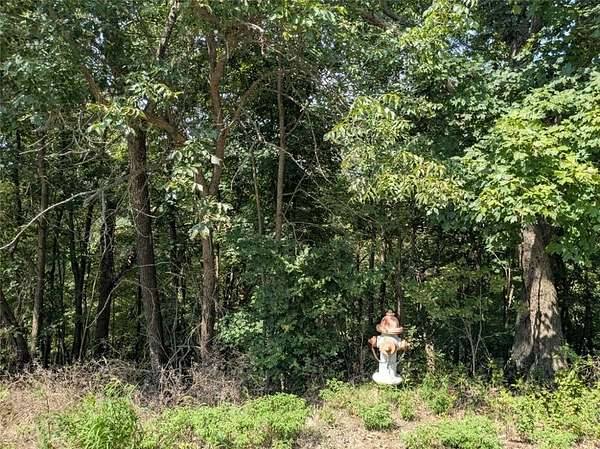 0.31 Acres of Residential Land for Sale in Holiday Island, Arkansas