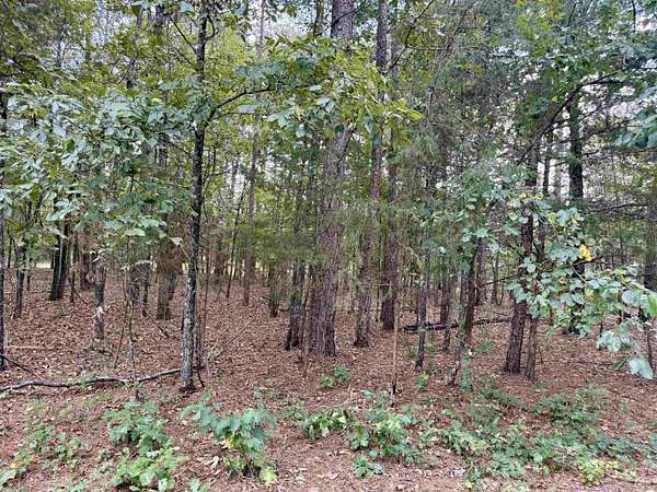 1.3 Acres of Residential Land for Sale in Higden, Arkansas
