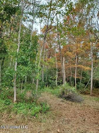 0.25 Acres of Land for Sale in Gautier, Mississippi