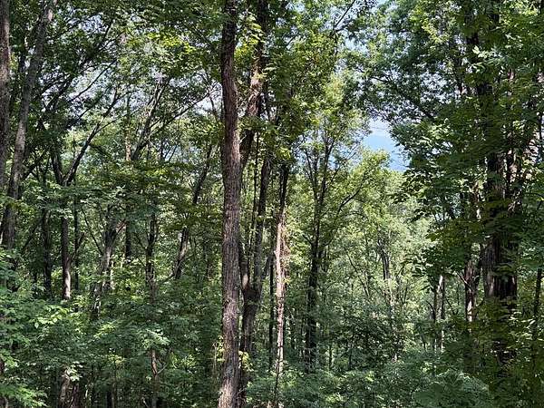 0.62 Acres of Land for Sale in Ellijay, Georgia