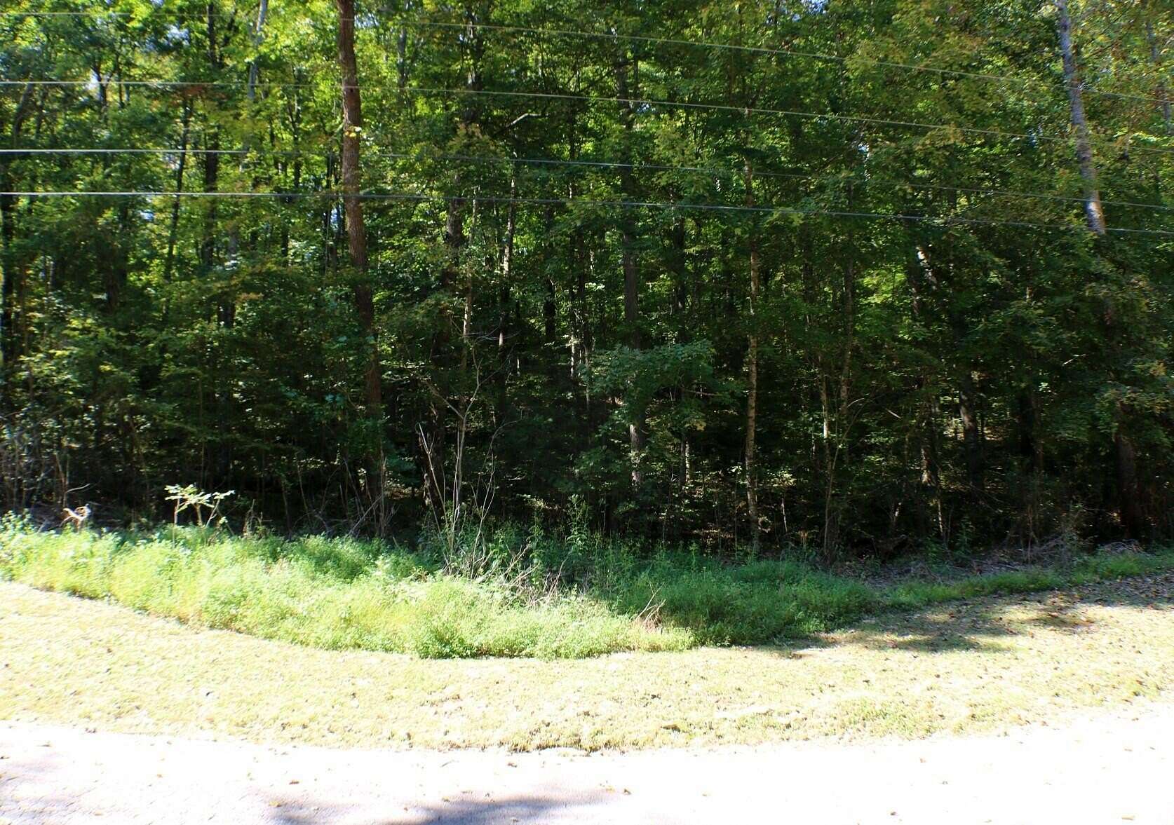 1 Acre of Residential Land for Sale in Burnside, Kentucky