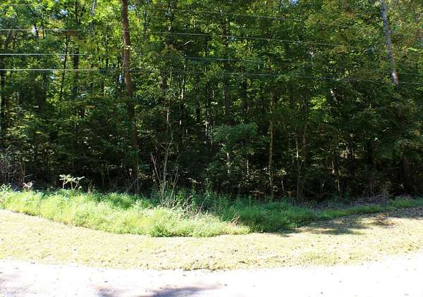 1 Acre of Residential Land for Sale in Burnside, Kentucky