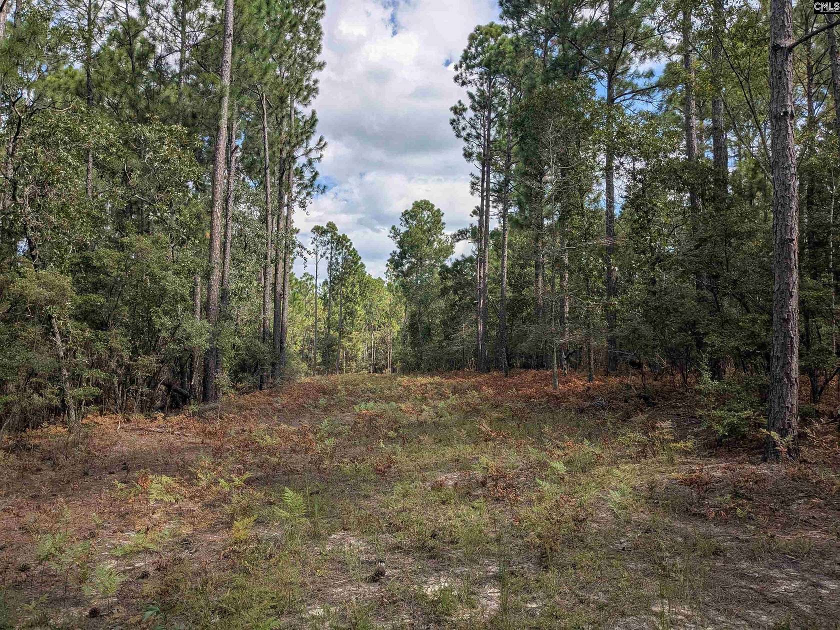 25 Acres of Land for Sale in Wagener, South Carolina
