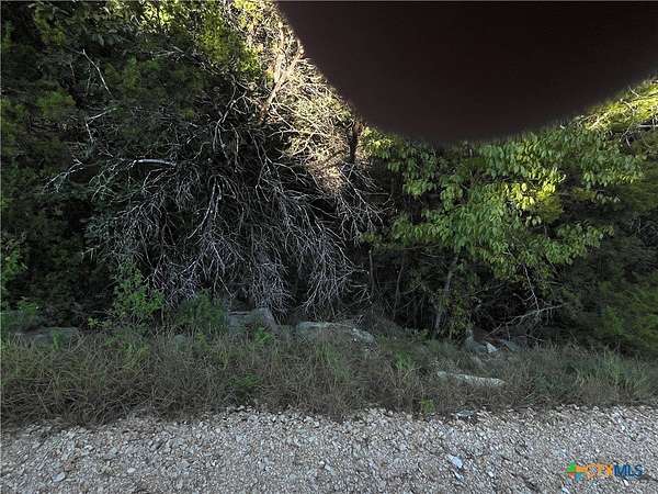 0.8 Acres of Residential Land for Sale in Canyon Lake, Texas