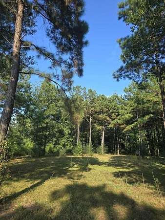 16 Acres of Land for Sale in Kirbyville, Texas