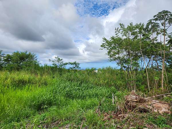 0.28 Acres of Land for Sale in Kurtistown, Hawaii