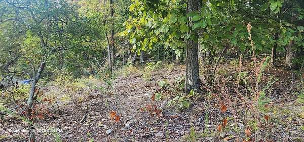 0.33 Acres of Residential Land for Sale in Holladay, Tennessee