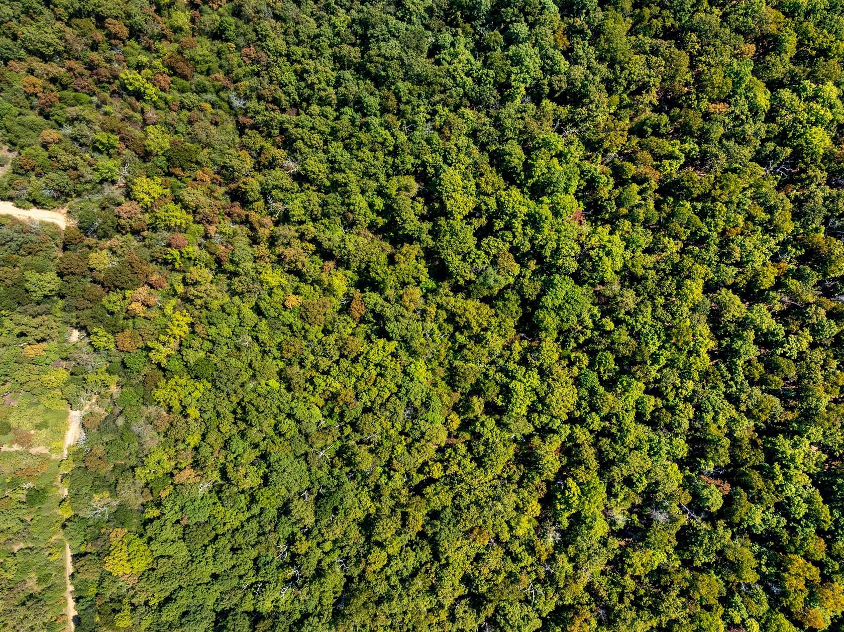 5 Acres of Recreational Land for Sale in Hardy, Arkansas