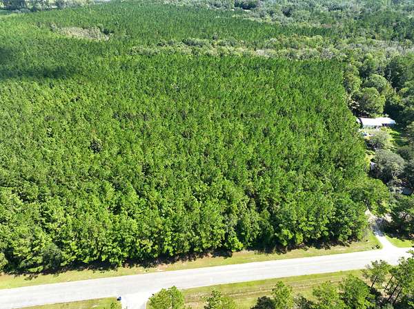 5.8 Acres of Recreational Land for Sale in Woodbine, Georgia