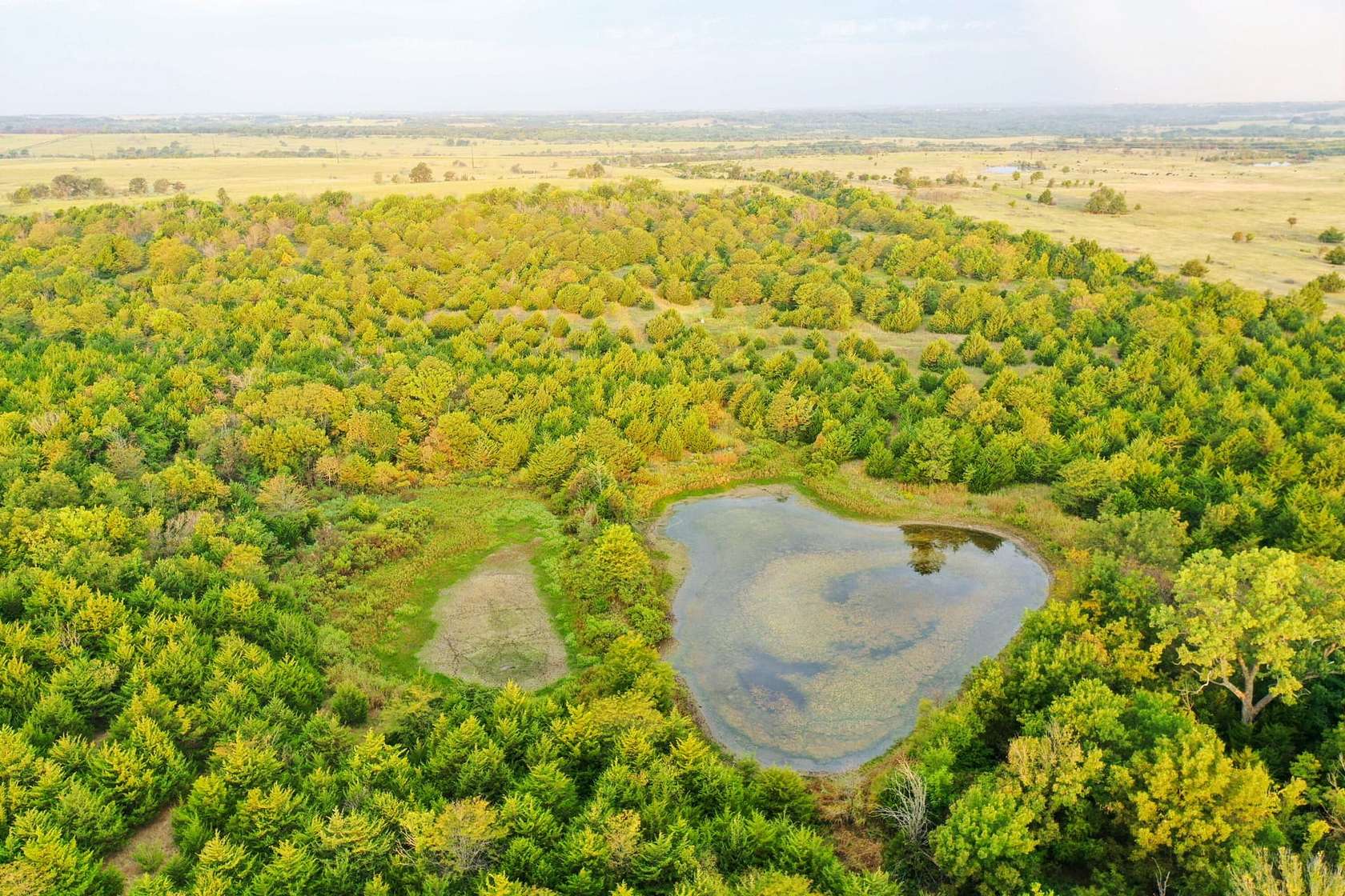 40 Acres of Recreational Land & Farm for Sale in Pawnee, Oklahoma