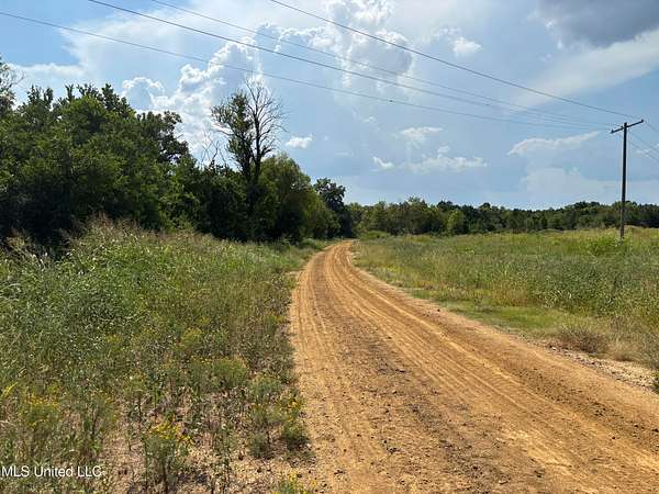 95 Acres of Land for Sale in Jackson, Mississippi