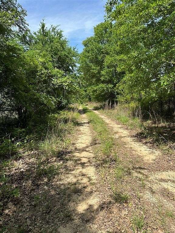 12.5 Acres of Recreational Land for Sale in Teague, Texas