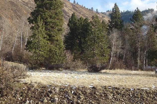 0.66 Acres of Residential Land for Sale in Naches, Washington