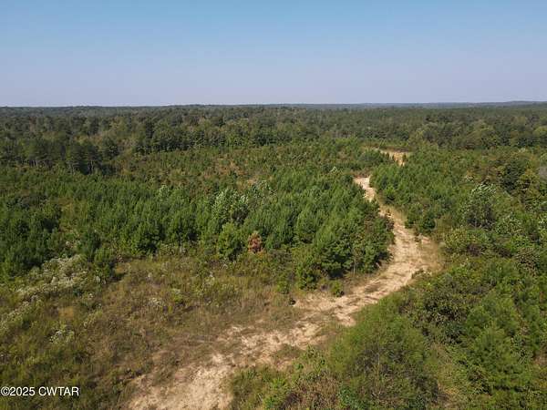 29.6 Acres of Recreational Land for Sale in Sugar Tree, Tennessee