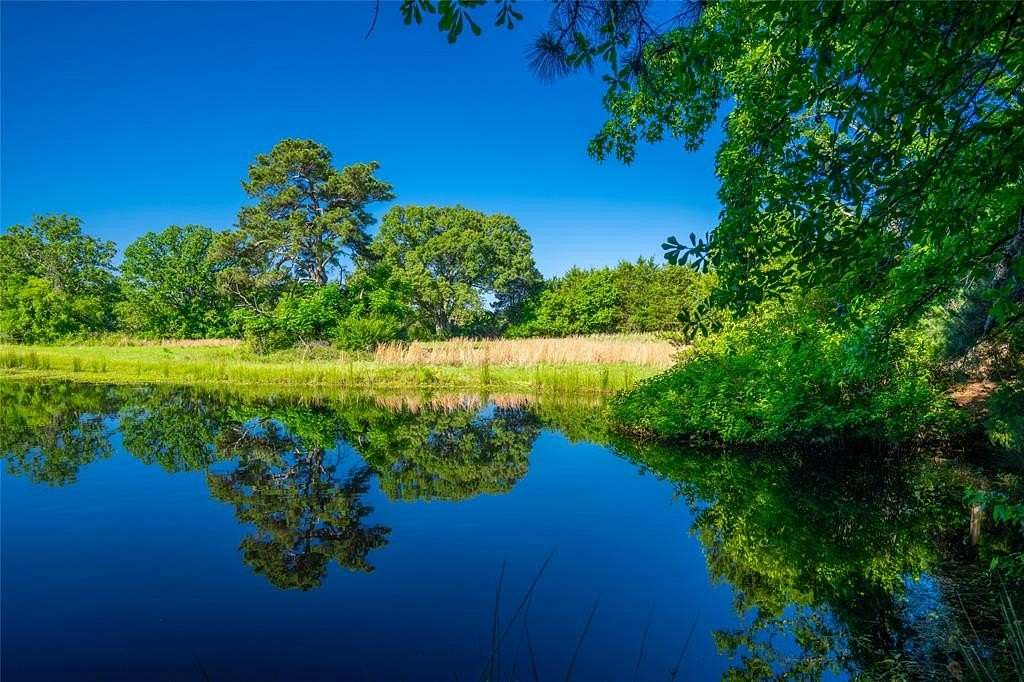 233 Acres of Land for Sale in Marietta, Texas