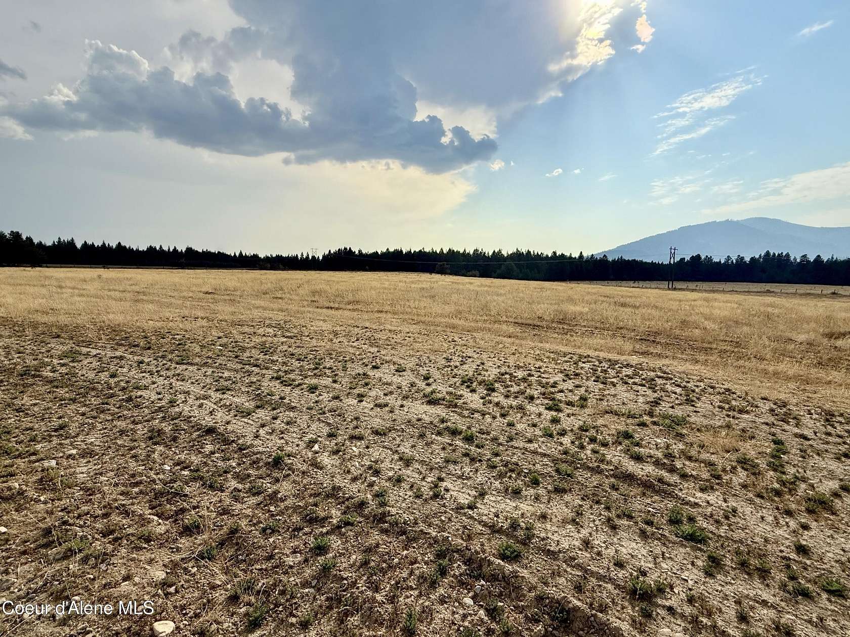 5.5 Acres of Land for Sale in Rathdrum, Idaho