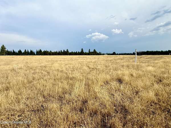 5 Acres of Land for Sale in Rathdrum, Idaho