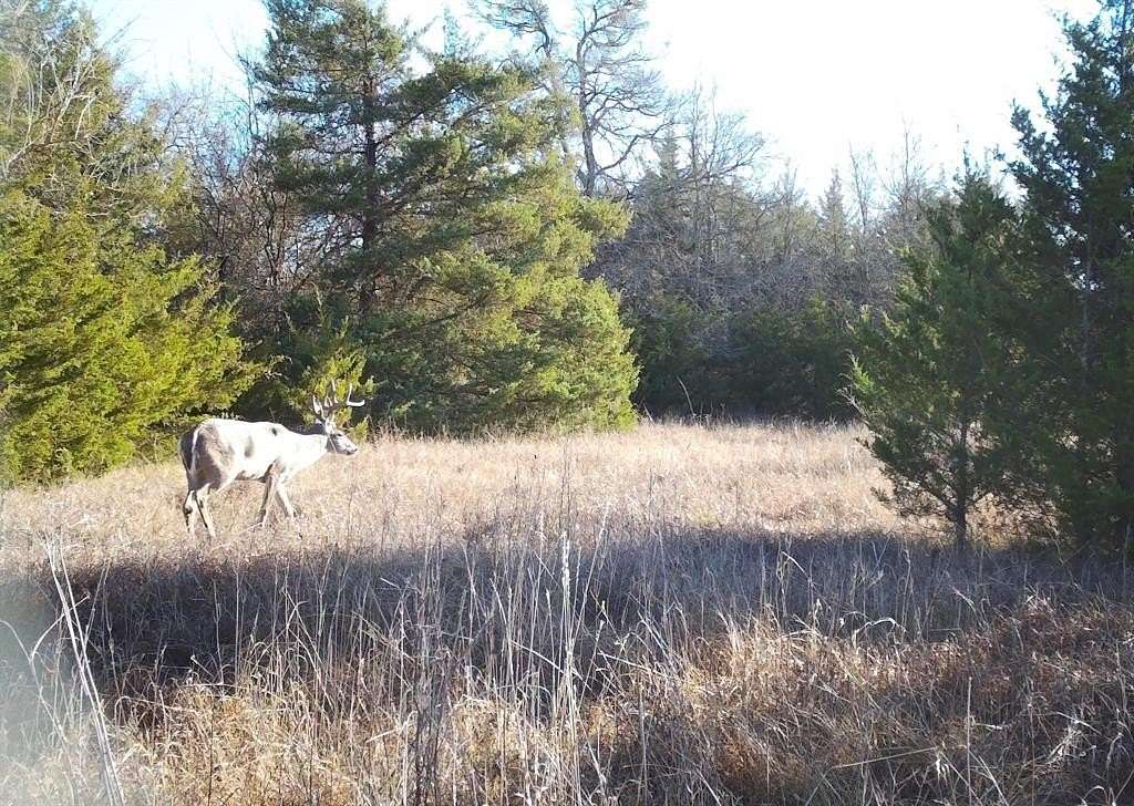 112 Acres of Agricultural Land for Sale in Roxton, Texas