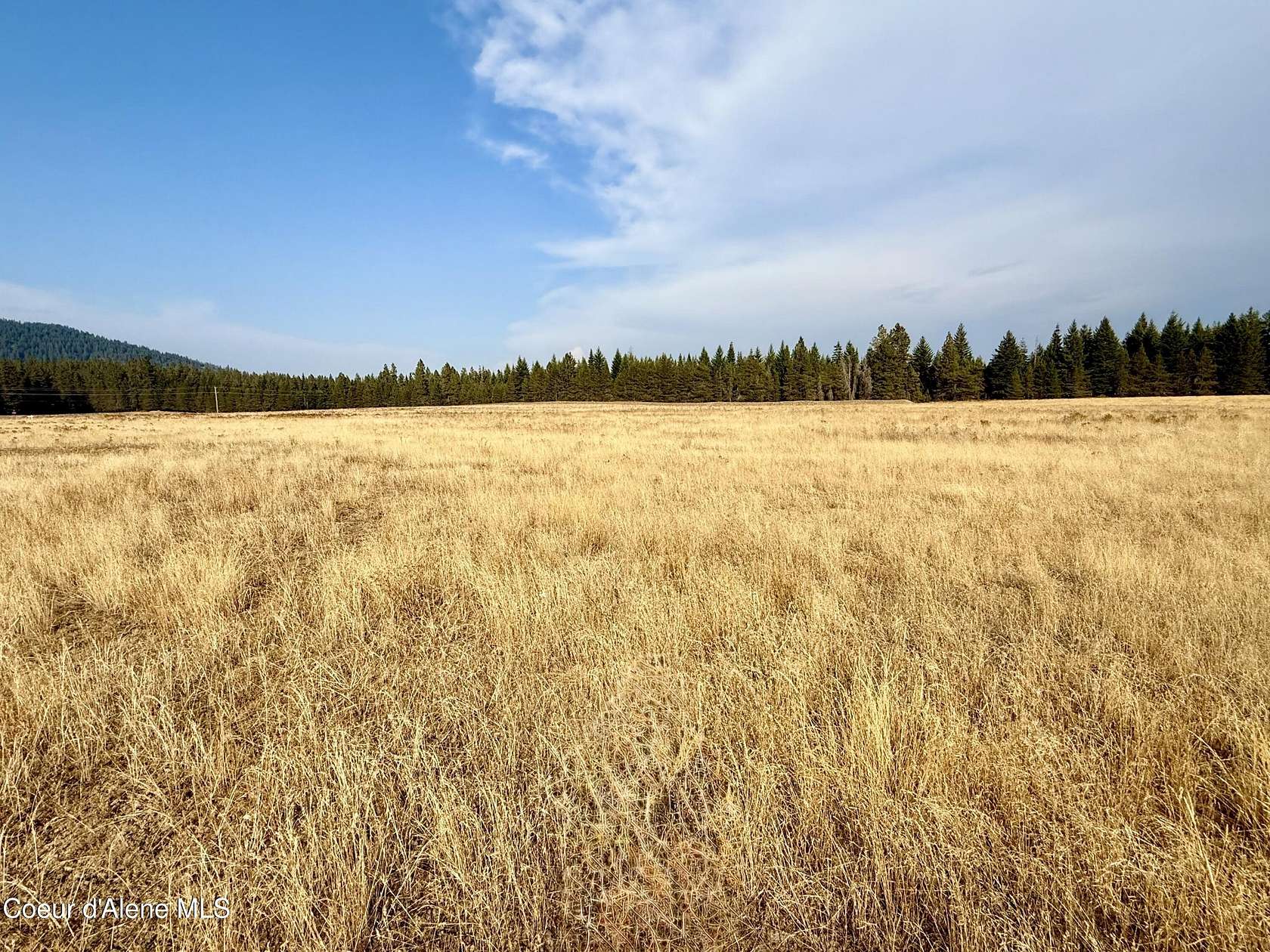 5 Acres of Land for Sale in Rathdrum, Idaho