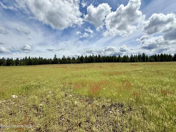 5 Acres of Land for Sale in Rathdrum, Idaho