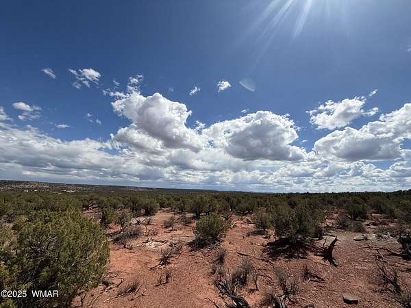 42.1 Acres of Recreational Land with Home for Sale in Snowflake, Arizona
