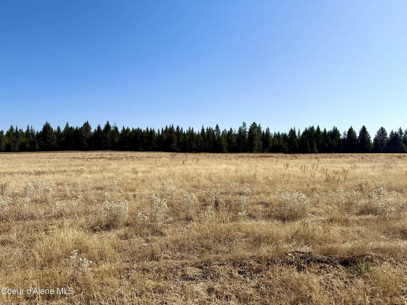 5.45 Acres of Land for Sale in Rathdrum, Idaho