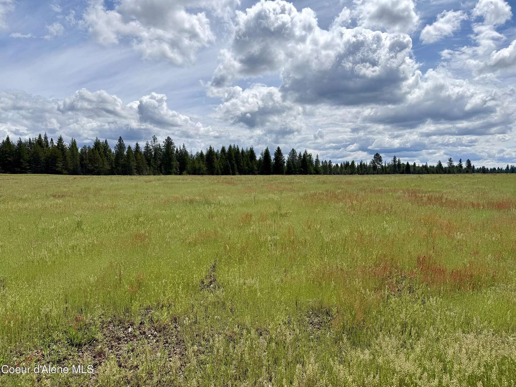 5.45 Acres of Land for Sale in Rathdrum, Idaho