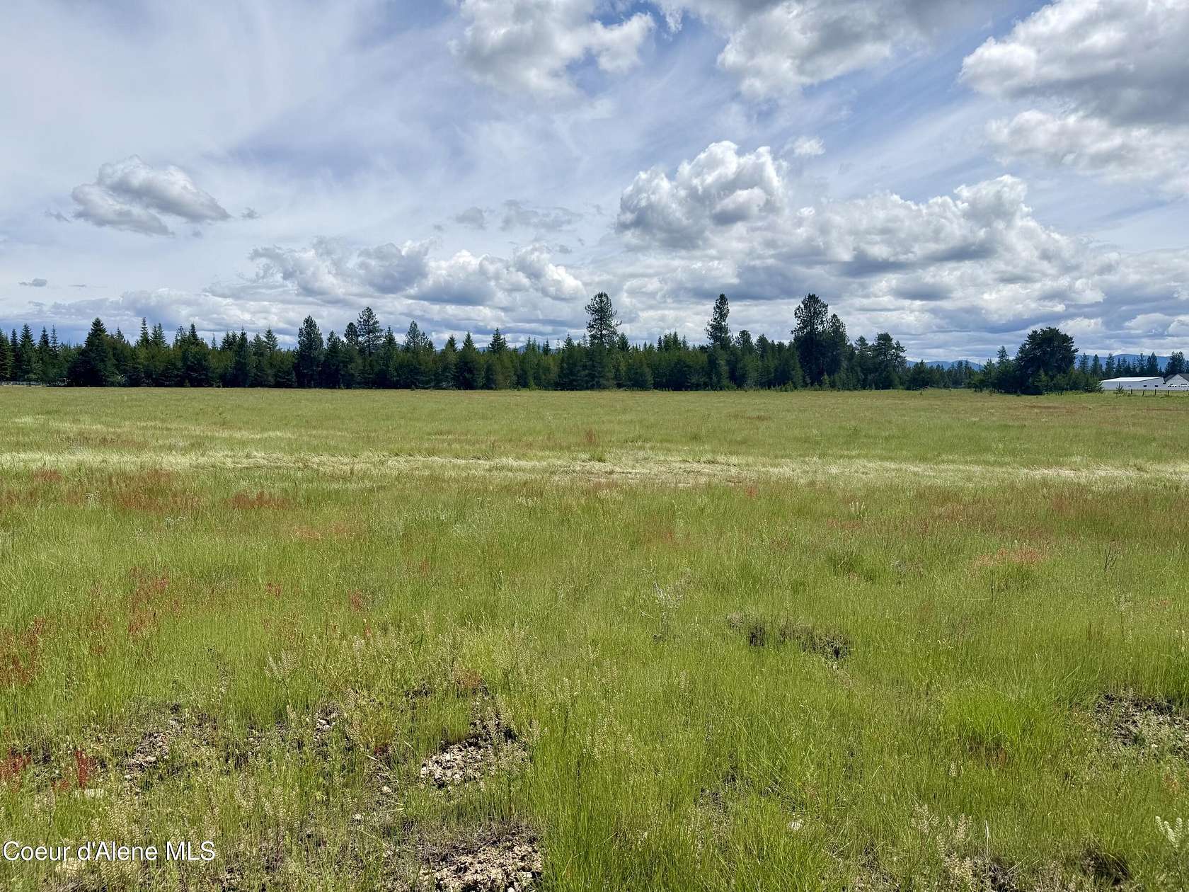 5 Acres of Residential Land for Sale in Rathdrum, Idaho