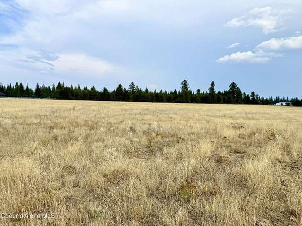 5 Acres of Residential Land for Sale in Rathdrum, Idaho