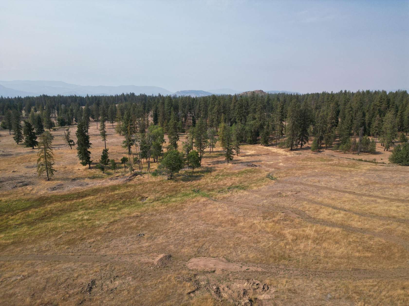 14.2 Acres of Land for Sale in Valley, Washington